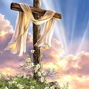 Meet your Posher, Carmen